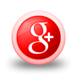 google + button